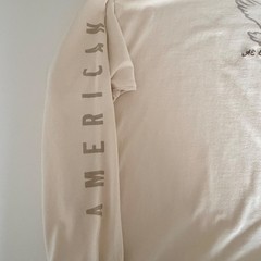 NWT American Eagle Men’s Super Soft Long Sleeve Logo Graphic Shirt Sz Large Y2K