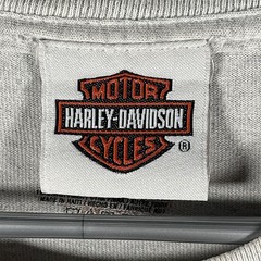 Vintage Harley-Davidson Shirt Mens Large Gray Doc’s St Louis Biker Tee Y2K Spots