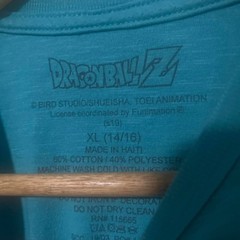 Dragon Ball Z Vegeta Graphic T-Shirt Teal Youth XL 14/16