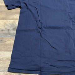 Walt Disney T-Shirt ESPN Wide World Of Sports Blue Adult Size M Medium Champion