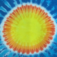 Rare Hand Dyed By SunDog Tiger Sun Vintage Tie-Dye T-Shirt Medium Chest 42” EUC