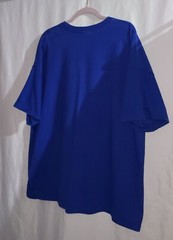 Hanes Blue Coverd Bridge Snow Winter Scene T-shirt Size 3XL