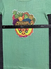 Vintage 70s Single-Stitch Graphic Art T-Shirt South Of The Border Iron On Green