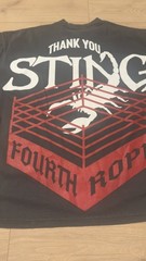 Westside Gunn ‘Thank You Sting’ T-Shirt XL 4th Rope WWE AEW, Oversized Fit (XL)
