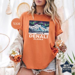 Denali Alaska Aurora Comfort Tee National Park Travel Souvenir