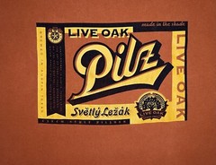 Live Oak Pilz Brewing Company Orange Shirt LG 21.5” X 27”