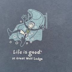 Life is Good Shirt Mens Size Large Blue Great Wolf Lodge Water Slide Long Sleeve