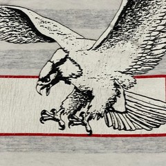 Vintage 90s Eisenhower Eagles Senior High School Shirt Medium 20×26 Striped Gray
