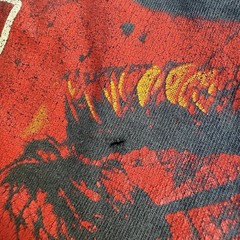Vintage 2005 Iggy Pop and The Stooges Fun House Album Band T Shirt