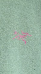Vintage Arcteryx Green T Shirt Mens Medium Made In USA . 19×26.