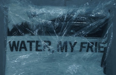 BRUCE LEE Homage ‘Be Water My Friend’ Graphic T-Shirt Gray Size Large SEALED NEW
