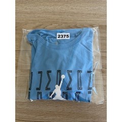 Jordan Jumpman Graphic Tee Mens M Blue Streetwear Basketball Urban Hip Hop Y2K