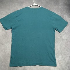 The North Face Mens Graphic T Shirt Adult size Large Teal Blue Short Sleeve Tee