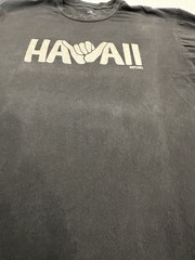 Men’s Ripcurl Rip Curl Standard Fit Cotton TShirt XL Hawai’i (discoloration)