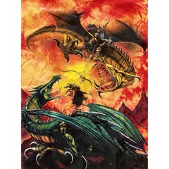 VIntage 2001 All Over Print AOP Dragons Warriors Tie Dye NWOT Mens M Meikle John