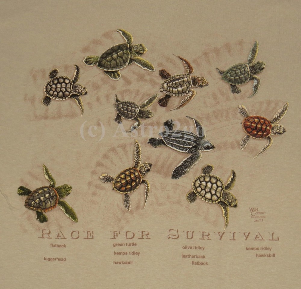 RACE FOR SURVIVAL–Sea Turtles Marine Ocean Aquatic Science Nature T shirt S-2XL