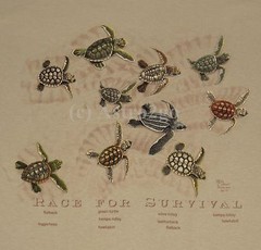 RACE FOR SURVIVAL–Sea Turtles Marine Ocean Aquatic Science Nature T shirt S-2XL