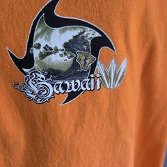 Y2K Vintage Hawaii Surf T Shirt Orange XL Altered Sleeveless See