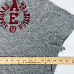 Y2k American Eagle Mens Shirt XXXL Gray Graphic Tee Vintage Fit Felt Applique