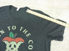 Men’s Rotten To The Core Bad Apple T-Shirt size XL color Gray