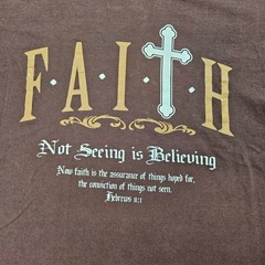Jerzees Mens Faith Hebrews 11:1 Christian Graphic T-Shirt Brown L G Heavyweight