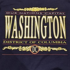 Vintage 90s Washington D.C. Our Nations Capital T-Shirt L Blue Usa Screen Stars