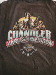 2019 Harley Davidson Chandler Arizona T-Shirt M Black Double-Sided Scorpion RK