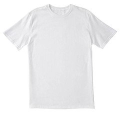 Hanes Men’s Tagless T-Shirt 10 Pack 2XL – White (2135Z0)