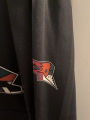 Tucson Roadrunners Kachina Alternate AHL Hockey Lace Hoodie L Large