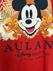 Disney AULANI Resort & Spa ALOHA Hawaii Mickey Mouse Medium Red T-shirt Men’s