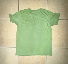 Retired Size L Roots Of Fight Bloodlines Mike Tyson Brooklyn’s Own Shirt Green