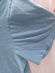 Polo Ralph Lauren Blue Teal Silver Horse T-Shirt, Men’s 2XB/2G Big and Tall