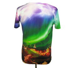 3D Graphic Aurora Borealis Volcano Seagulls Mens Medium Short Sleeve T-Shirt Top