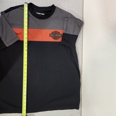 Harley-Davidson Men’s L Short Sleeve Graphic T-Shirt Color Block Logo Biker