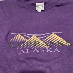 VTG 90s Fairbanks Alaska Pyramids Mens XL Deadstock Tourist Destination T Shirt