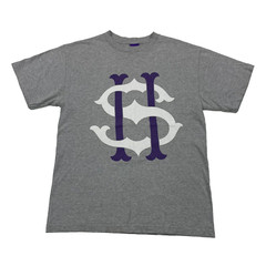 Second Son T-Shirt Men’s Medium Grey Short Sleeve Graphic Print Crew Neck