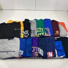 Wholesale Lot of 16 Mixed Theme Long/Short Sleeve T-Shirts Sizes in Desc