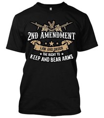 2nd Amendment Right to keep and bear arms Tee Gun Rights Molon Labe DTOM T-shirt