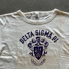 Vintage 40s 50s Delta Sigma Pi Shirt Size Medium White Fraternity Flock Print