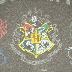 Harry Potter Men’s Gray Hogwarts Graphic Logo T-Shirt Crew Neck Short Sleeve S