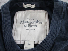 Abercrombie Fitch Shirt Mens Large Blue Spellout Logo SLIM Tee Muscle Fit Y2K