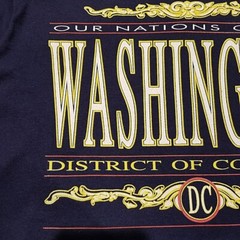 Vintage 90s Washington D.C. Our Nations Capital T-Shirt L Blue Usa Screen Stars