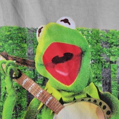 Disney The Muppets T-Shirt Large Green Kermit The Frog Country Roots Graphic Tee