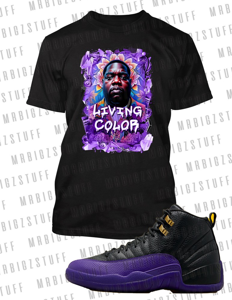 Biggie In Living Color Tee Shirt J12 Black Purple Men’s Big Tall Small Sport T