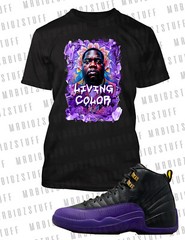 Biggie In Living Color Tee Shirt J12 Black Purple Men’s Big Tall Small Sport T