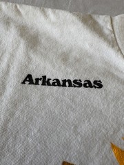 Vintage 90s Arkansas Sunflower Embossed Single Stitch Shirt (L)