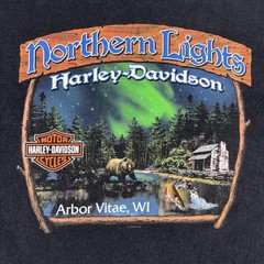 Harley-Davidson Shirt Mens 2XL Black Fall Ride Northern Lights Graphic 2009