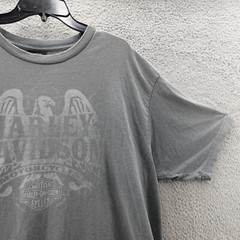 Harley Davidson Shirt Adult 2XL XXL Gray Motorcycle Eagle Birmingham AL Men’s