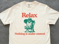 Chill Pomeranian Vintage Shirt Relax Nothing is Under Control Pom Tee T-Shirt
