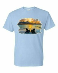 Adult DryBlend® T-Shirt – ( WISH YOU WERE HERE – COLOR CHANGING SOLAR / BEACH /
